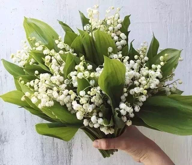 Artificial lily flower living room home decoration model room flower arrangement floral desktop fake flower ornaments