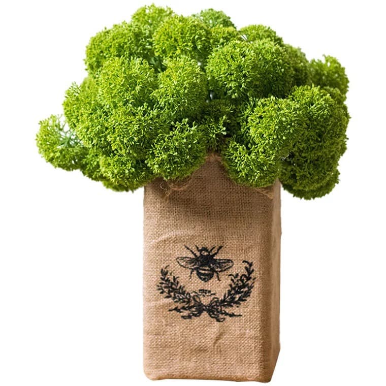 Simulated Green Onion Bouquet, Coral, Mousse Bouquet, Floral Arrangement, Fresh Literary and Artistic Green Plant Decorative Flower Arrangement Accessories