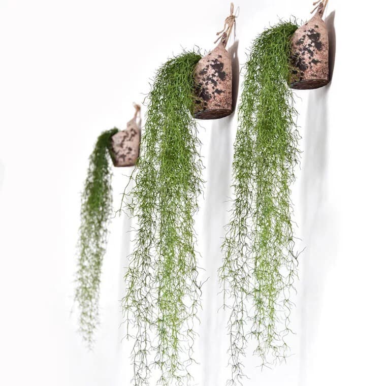 Artificial Air Grass, Anthurium, Old Man's Beard Green Plant, Wall Hanging Decoration, Spider Plant Potted Plant, Living Room Fake Flower Wall