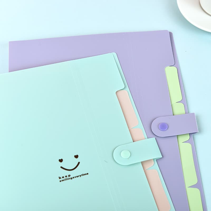 5-Piece A4 Accordion File Folder, Multi-Layer Large Capacity Subject Storage, Student Document Bag for Boys and Girls