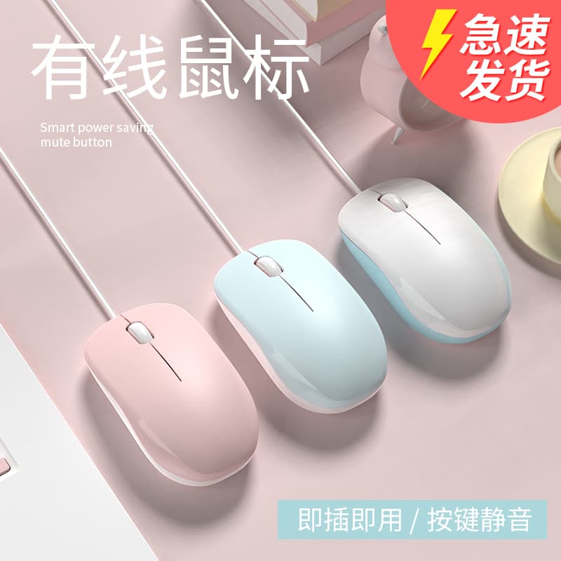 Wired Silent Mouse for Girls, Compact and Ergonomic, Suitable for Lenovo and Hp Laptops and Desktop Computers