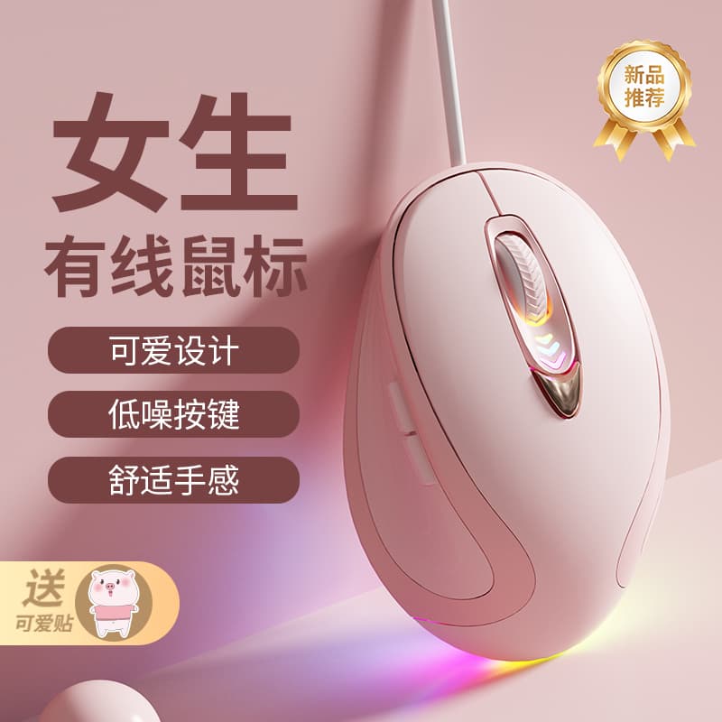 Wired Mouse G258 Office Silent High-End Appearance Cute Mouse for Girls Suitable for Lenovo Dell Laptop