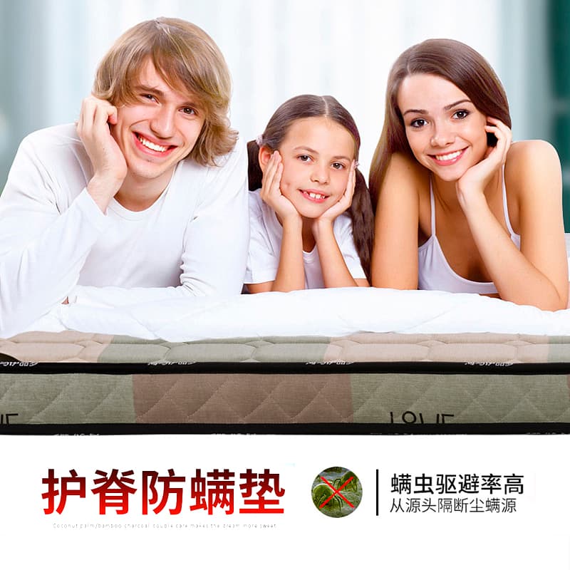 10cm 3E Environmental-Friendly coconut palm mattress 1.5 meters 1.8 meters For Home bedroom waist Ridge protection Simmons
