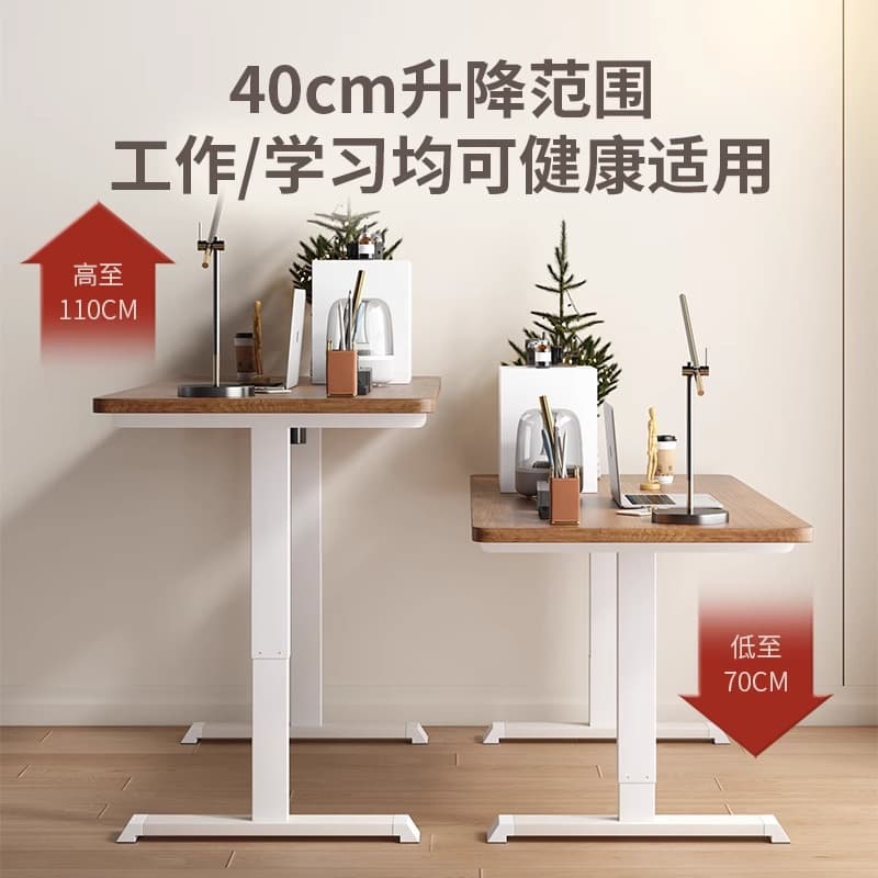 Desk for Girls' Bedroom, Computer Desk, Home Office Desk, Single-Person Modern Minimalist Gaming Desk, Electric Height-Adjustable Desk, Solid Wood