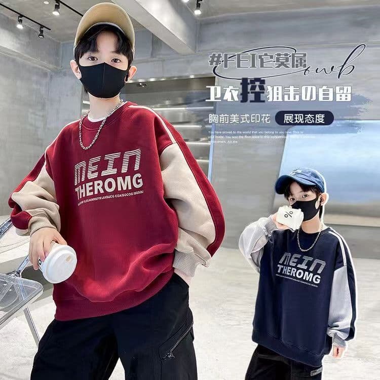 Children's Clothing Boys' Spring Clothing Sweatshirt Spring and Autumn 2025 New Boy's Cool Handsome Top Spring Big Children's Street Tide