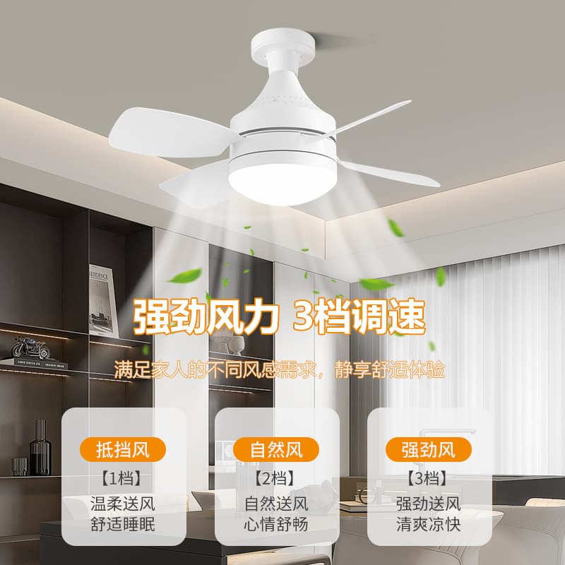 Cross-border new ultra-quiet ceiling fan lights Amazon large wind living room dining room bedroom fan lights Zhongshan lighting factory