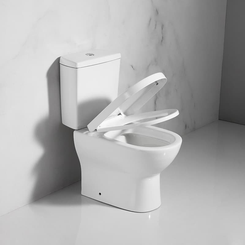 Manufacturer Split Standard Toilet European and American French Ceramic Split Toilet Toilet Export Small Export Rice Toilet